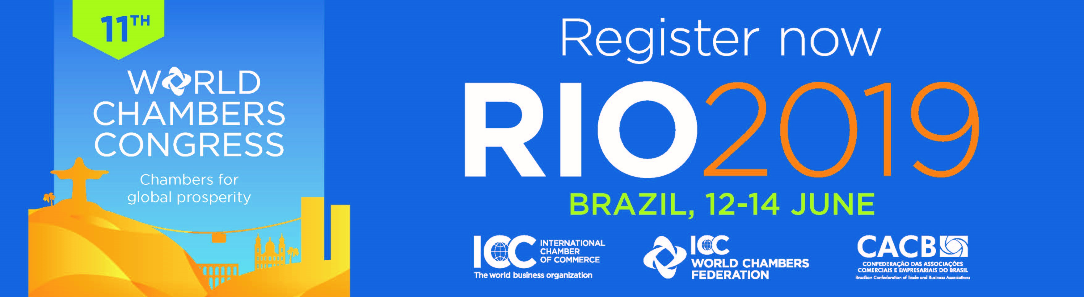 11WCC Vertical Wedsite Banner Register now